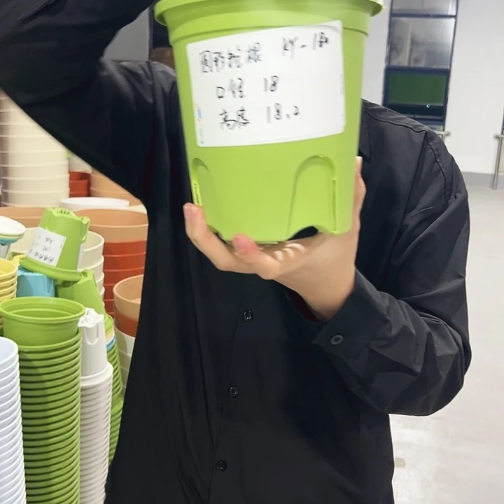 正品圆控口18高18果绿色8只无托