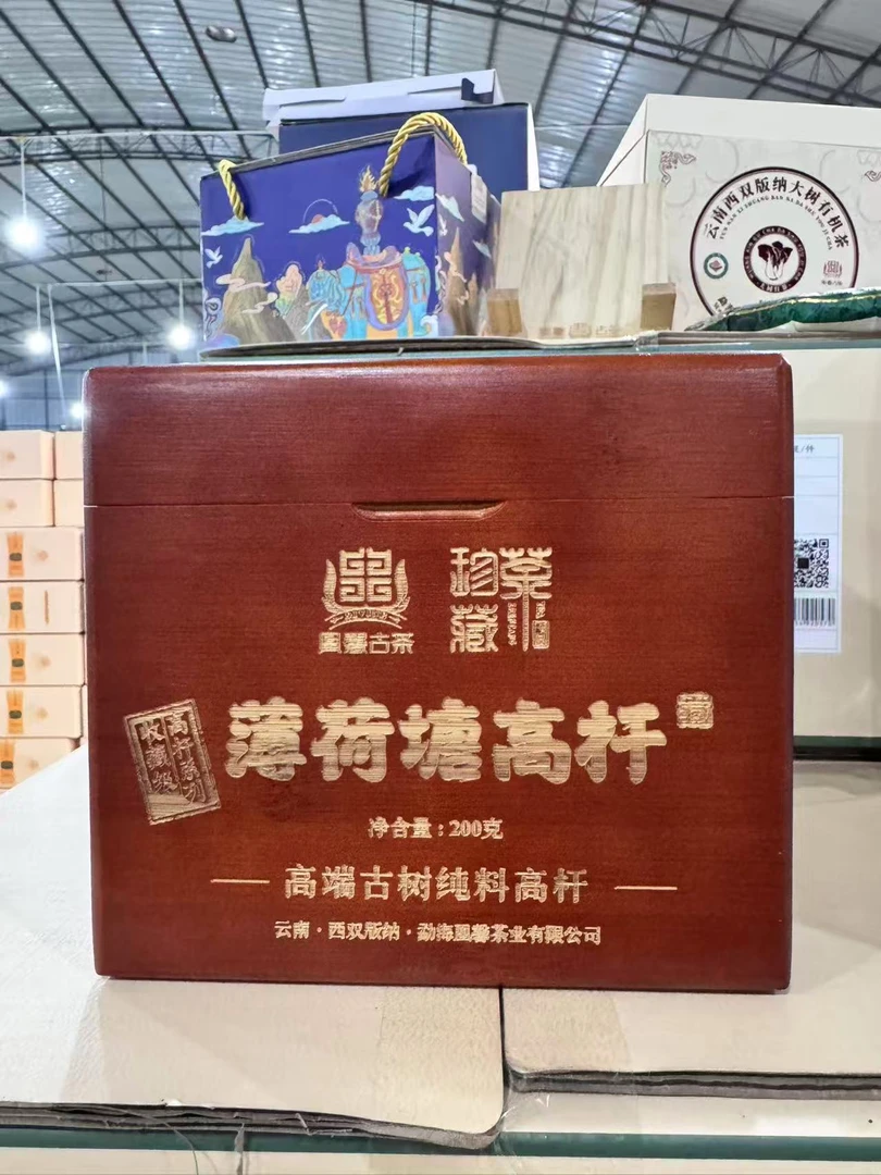 【会长的茶】凰馨2025年薄荷塘高杆200克古树散茶 古树头春生茶