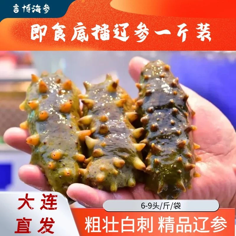 【辽参·深海白刺无添加】正宗辽刺参假一赔十（6-9头/斤）一斤海参装