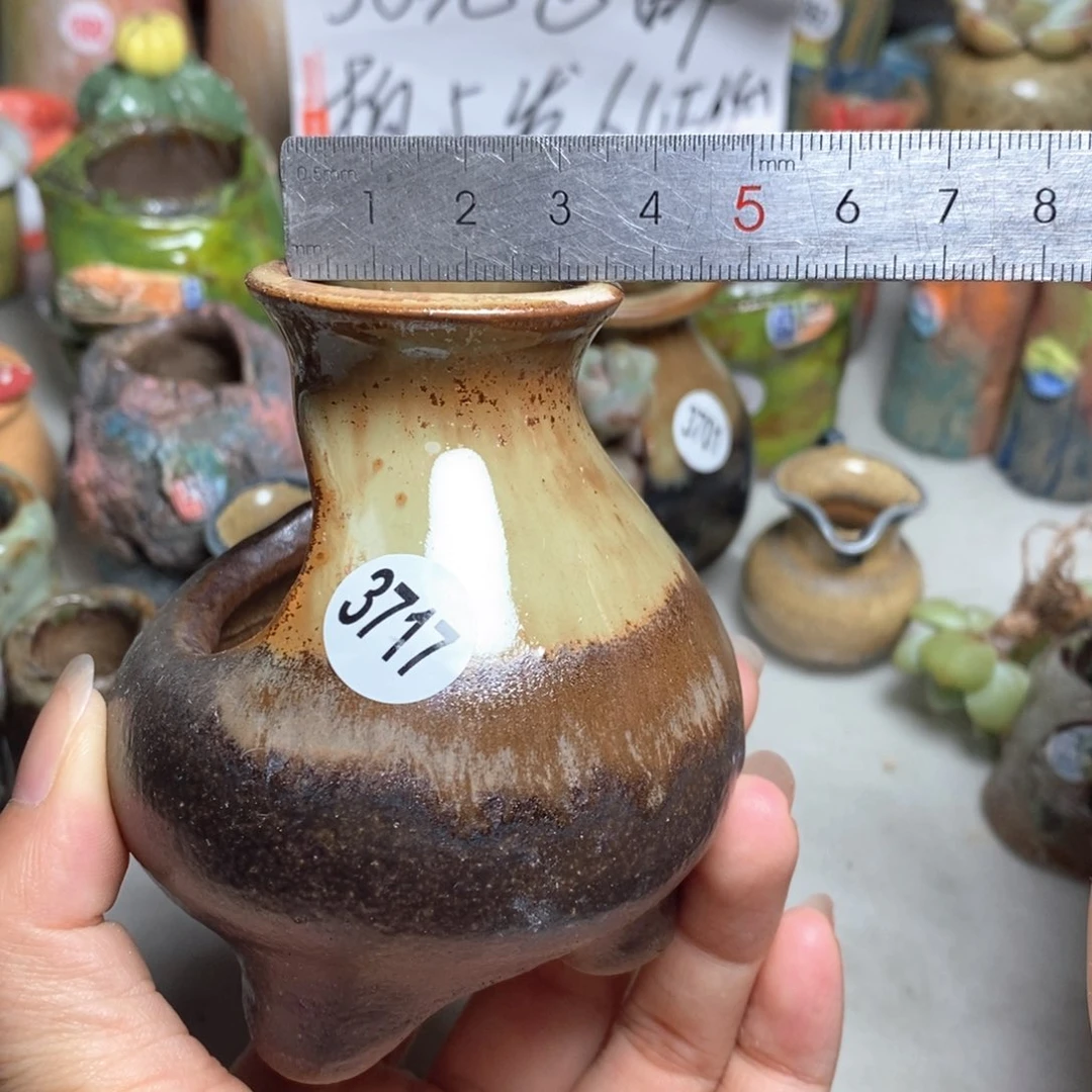 拍5送一个小礼物