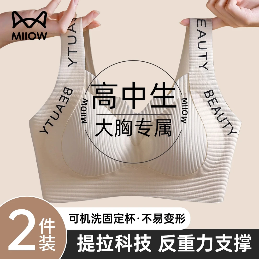 猫人发育期学生内衣18岁女高中生大胸显小提拉矫正防下垂塑形文胸