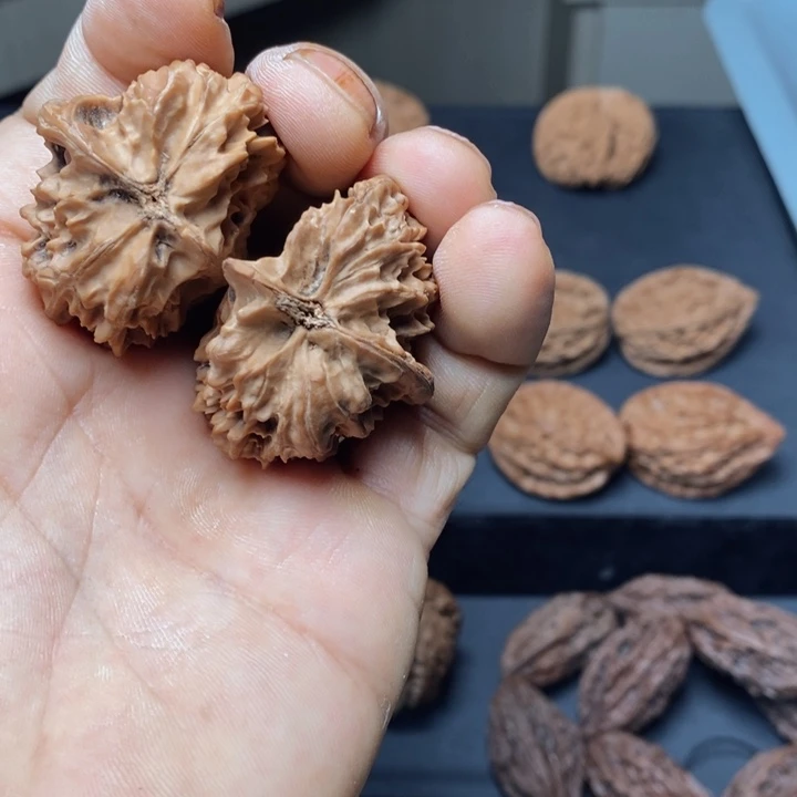 把件文玩核桃?****空秦岭野生秦鸡半壁