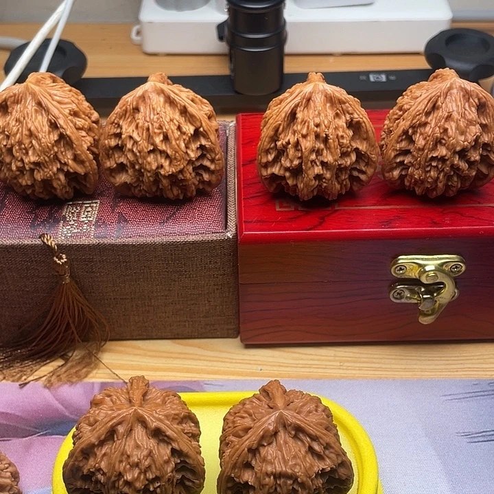 我***中哈哈哈哈哈哈哈哈哈