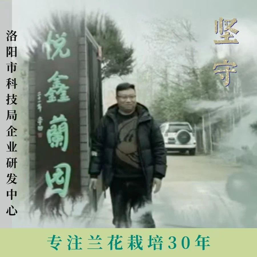 悦鑫兰园精品兰花 （运费）下单链接