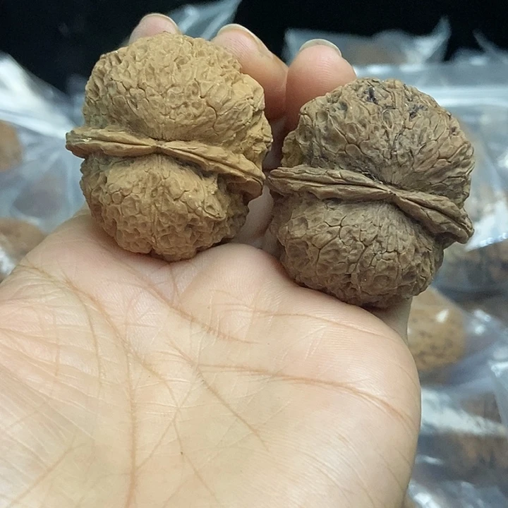 木质类云南铁核桃基地29