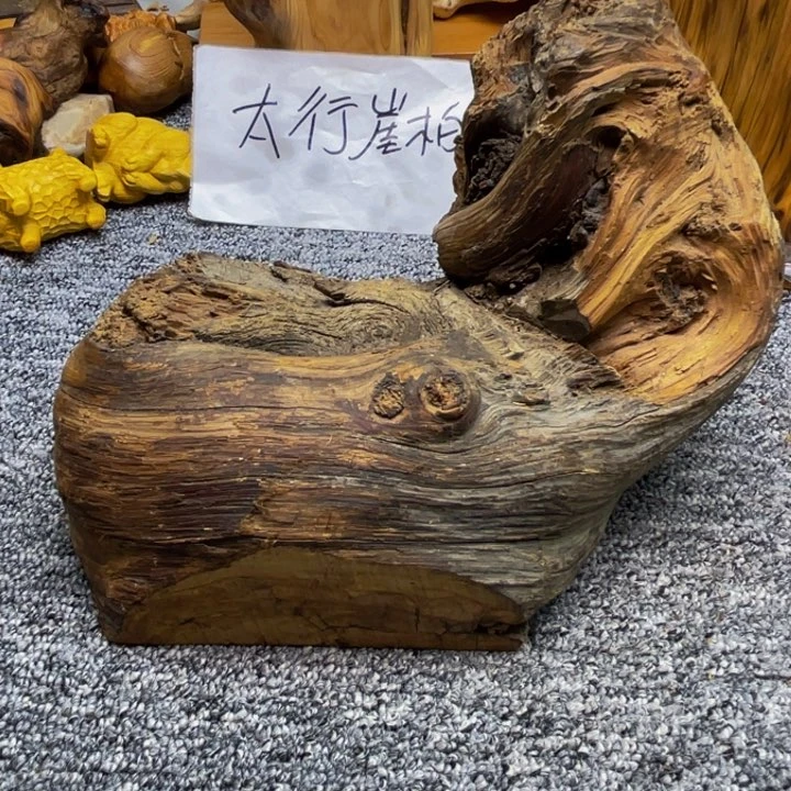 柏木（崖柏）崖柏169