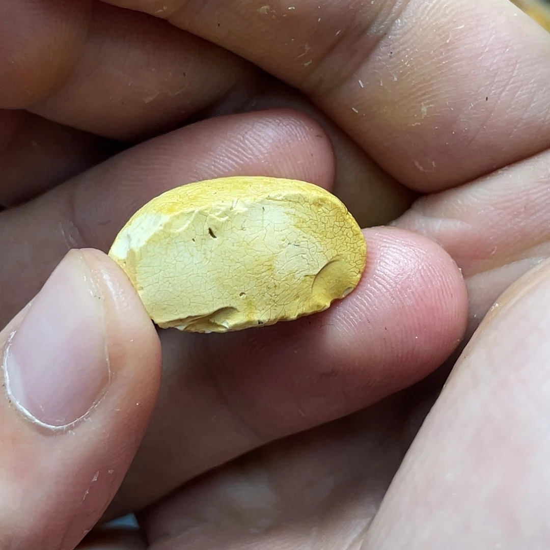 未镶嵌定制琥珀C****生