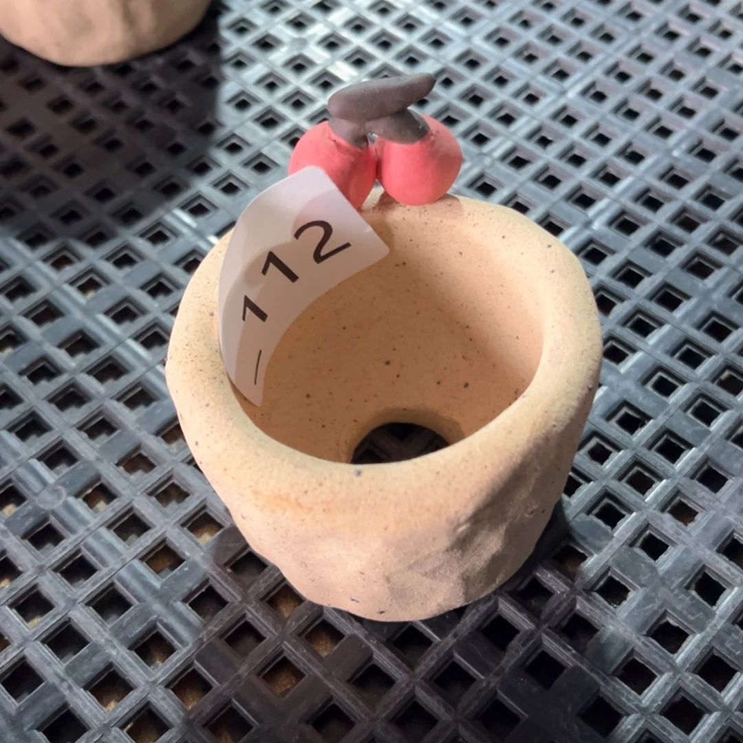 红陶112花盆  1个