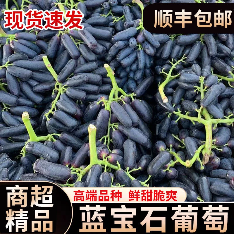 【顺丰包邮】蓝宝石葡萄新鲜金手指黑美人提子当季水果提子
