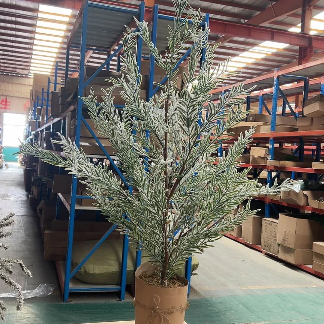 抖音直播高86福利一颗