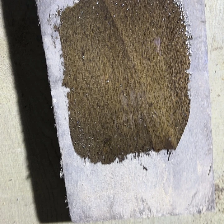 金丝楠啊啊啊啊啊啊