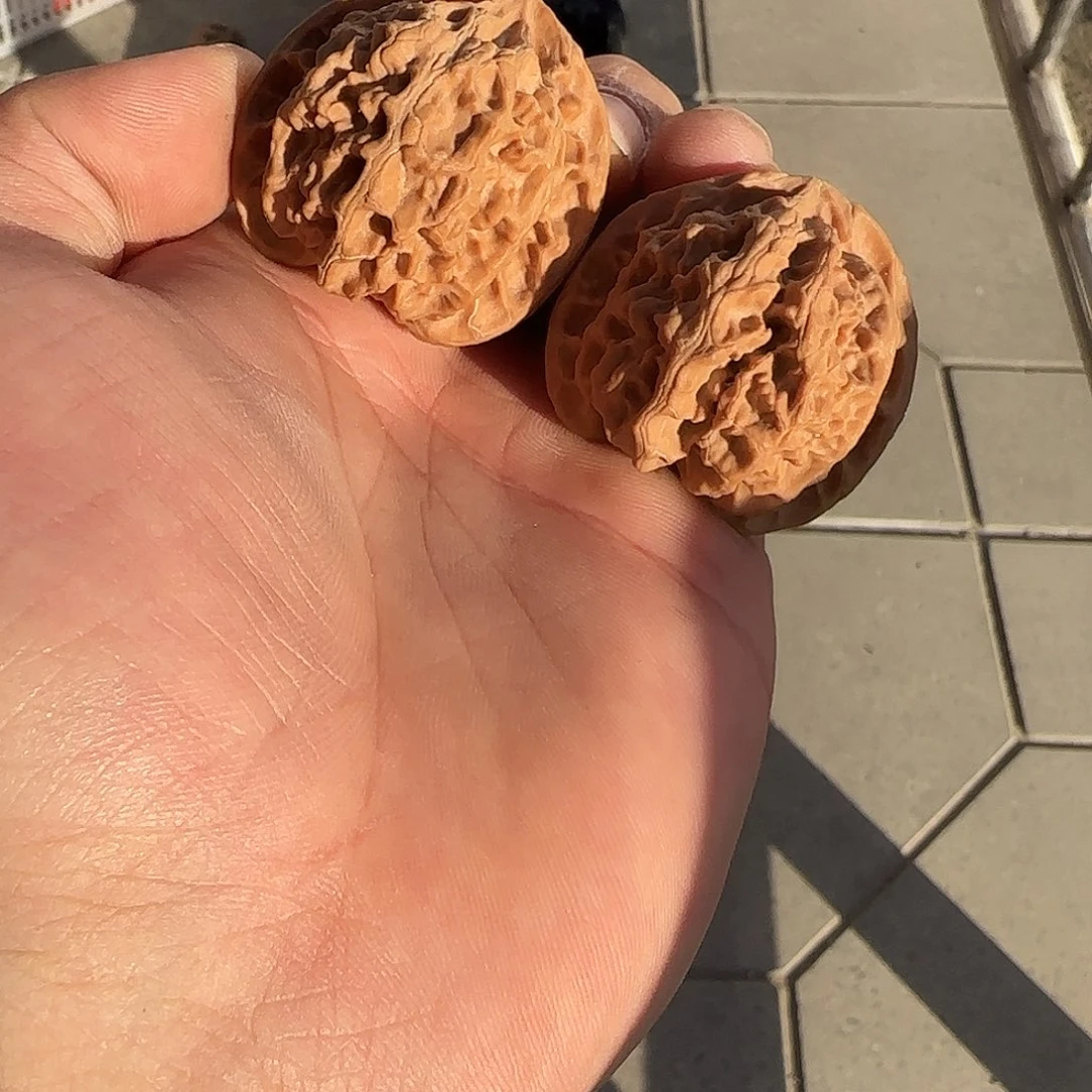 一**安送的111111111