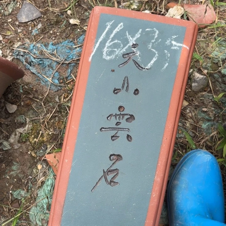 花盆紫砂紫砂的颜色