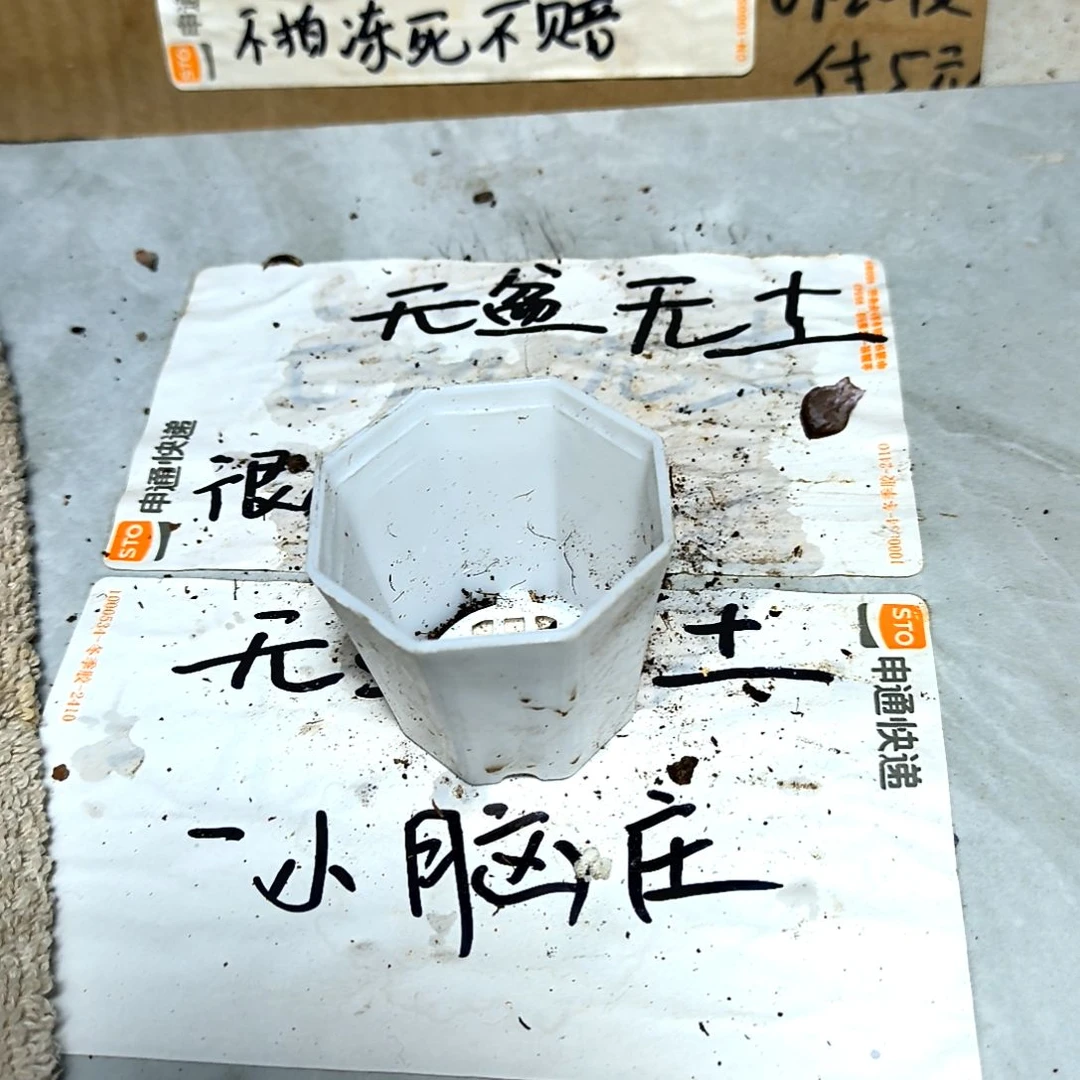 满6元包邮，小白八角盆十个