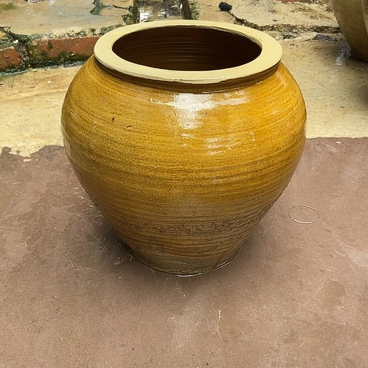 无花朵玫瑰花鲜花鲜花鲜花