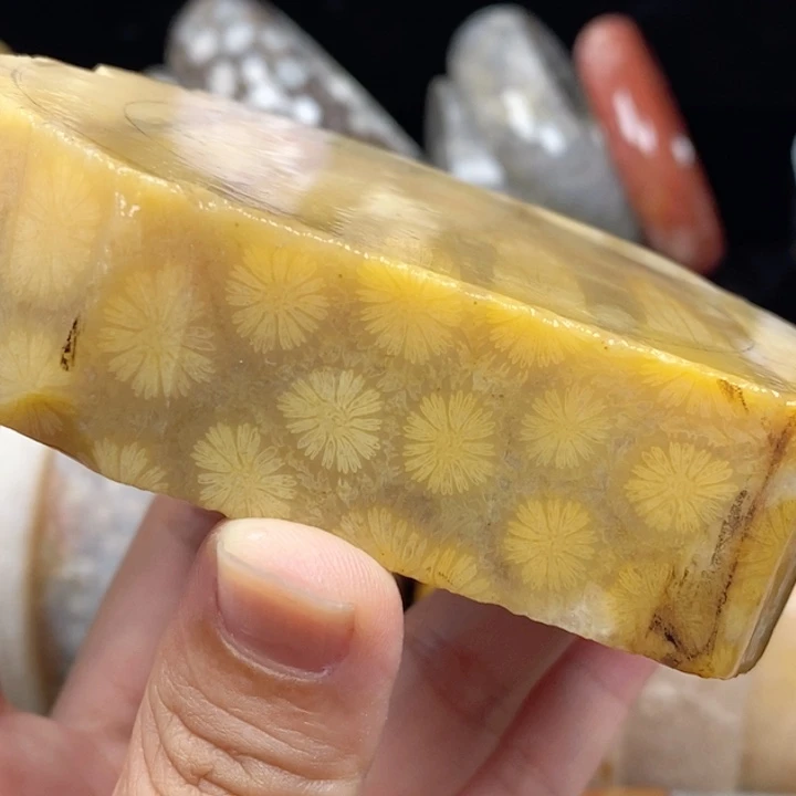 硅化玉未镶嵌手镯（圆镯）