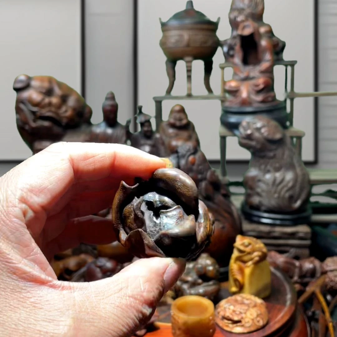 【闪购商品】楠木鹏**错热闹矛盾问题不大不小