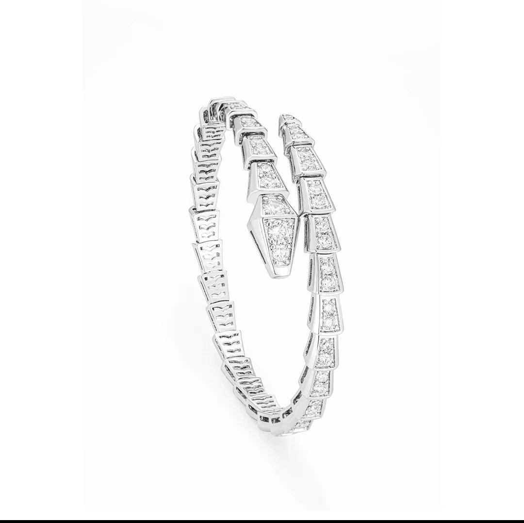 925银《蛇状》气质轻奢时尚百搭名媛 SZ01围巾-2