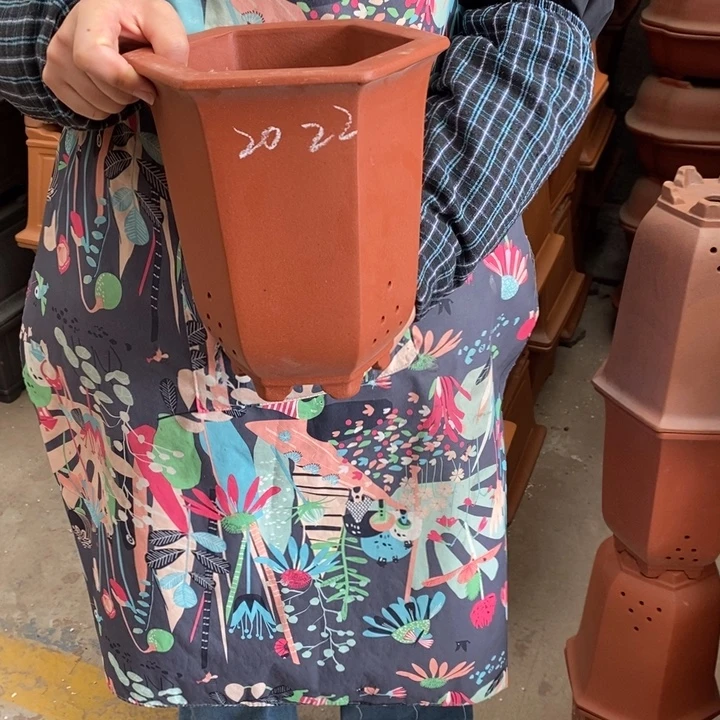 紫砂花盆自己家长的