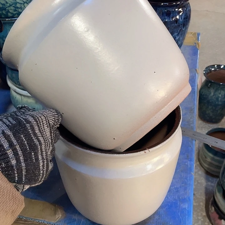 正品20/20两个处理
