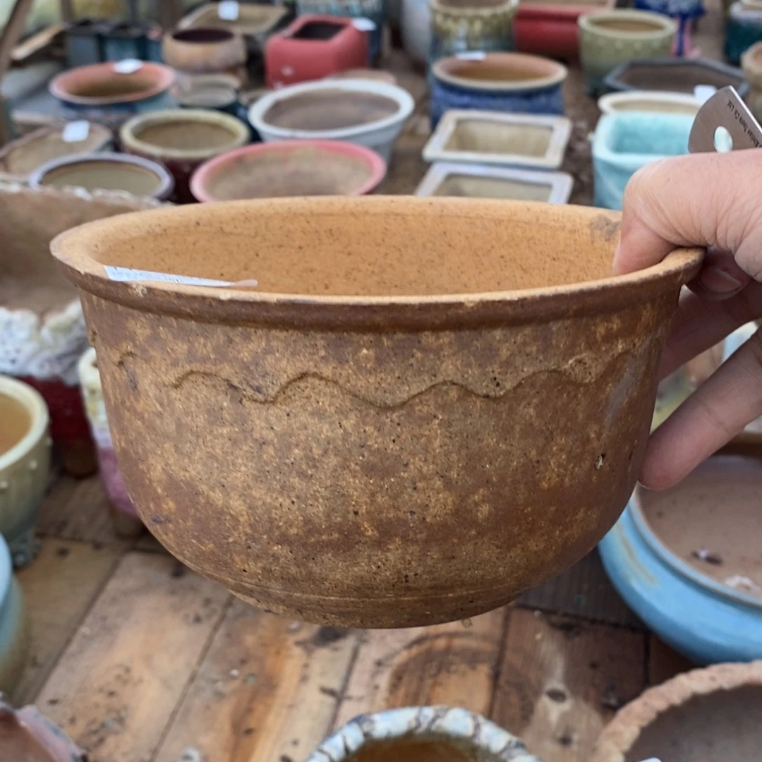 81号多肉盆口径14