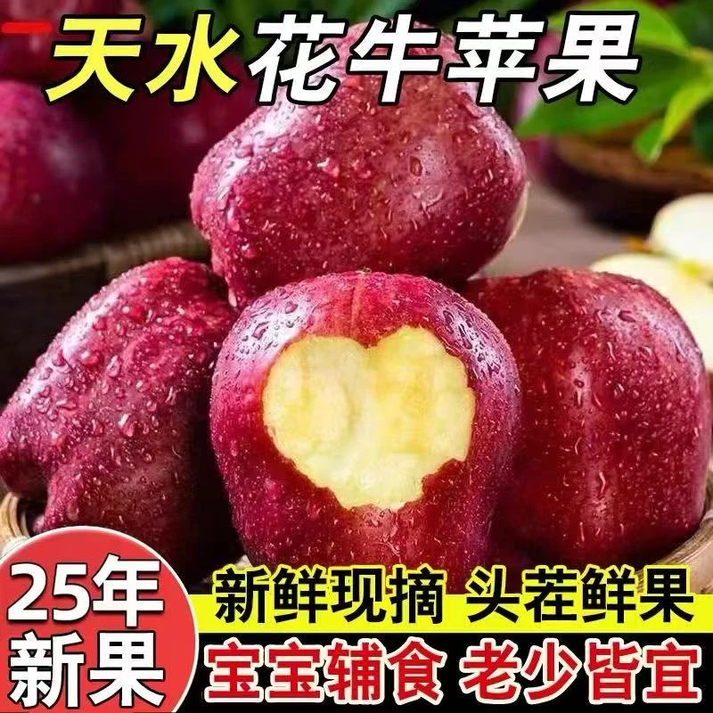 甘肃天水花牛苹果4.5-5斤红花牛苹果应季新鲜水果