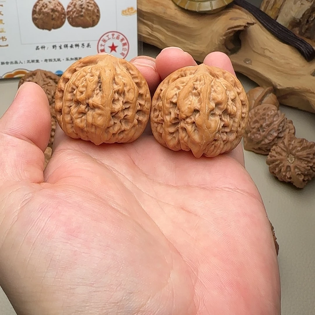吊坠文玩核桃40尺寸九龙
