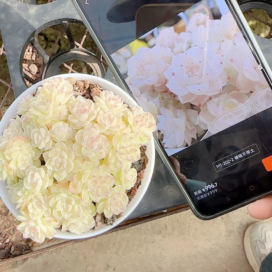 ***1211-86（m1-202-2）优选