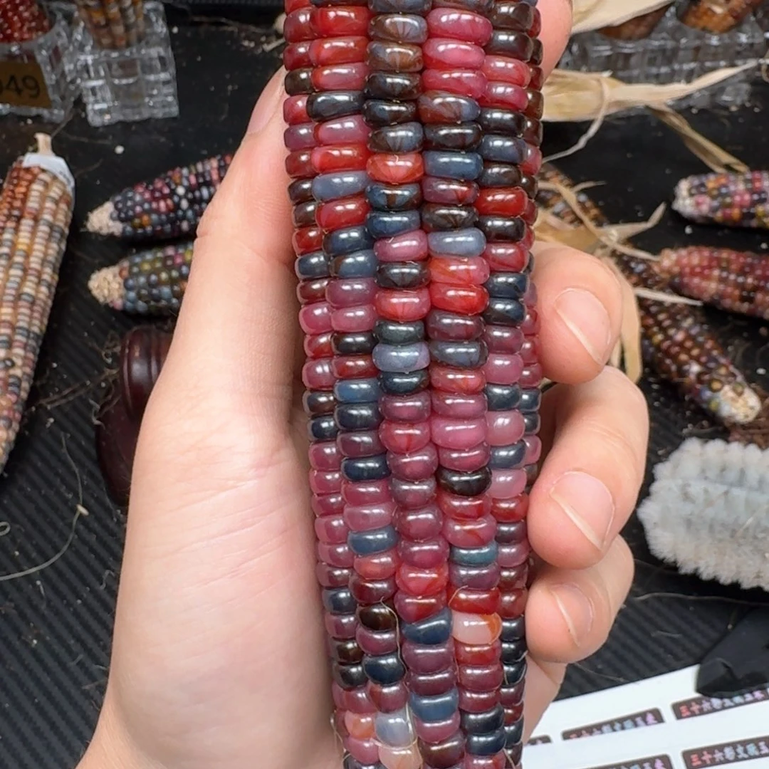 柏香籽/百香籽吊坠爱****-