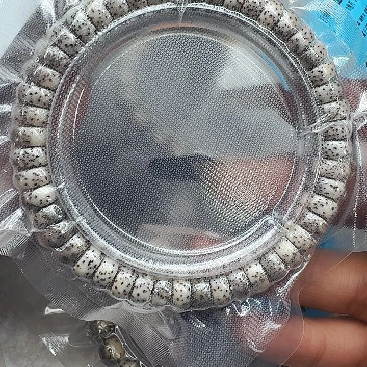 星月菩提手串485传说卡姿兰大眼睛星月菩提药片单圈94