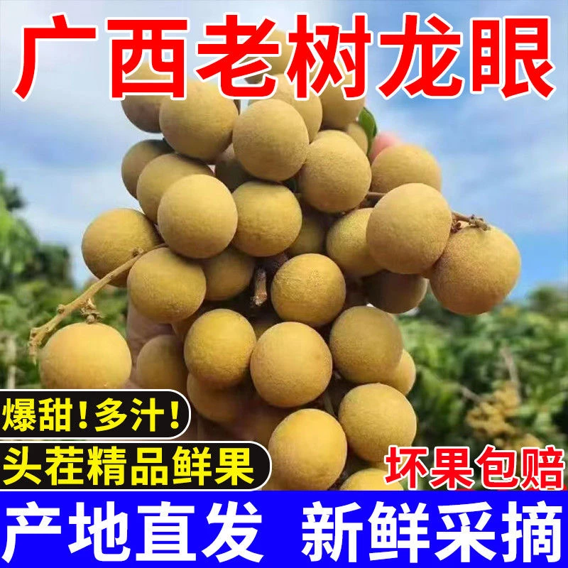 广西平南石硖龙眼孕妇水果新鲜现摘储良龙眼鲜果整箱直播新鲜批发