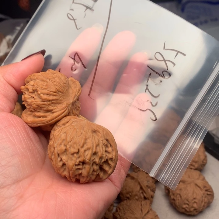 5****3文玩核桃手把件磨盘40