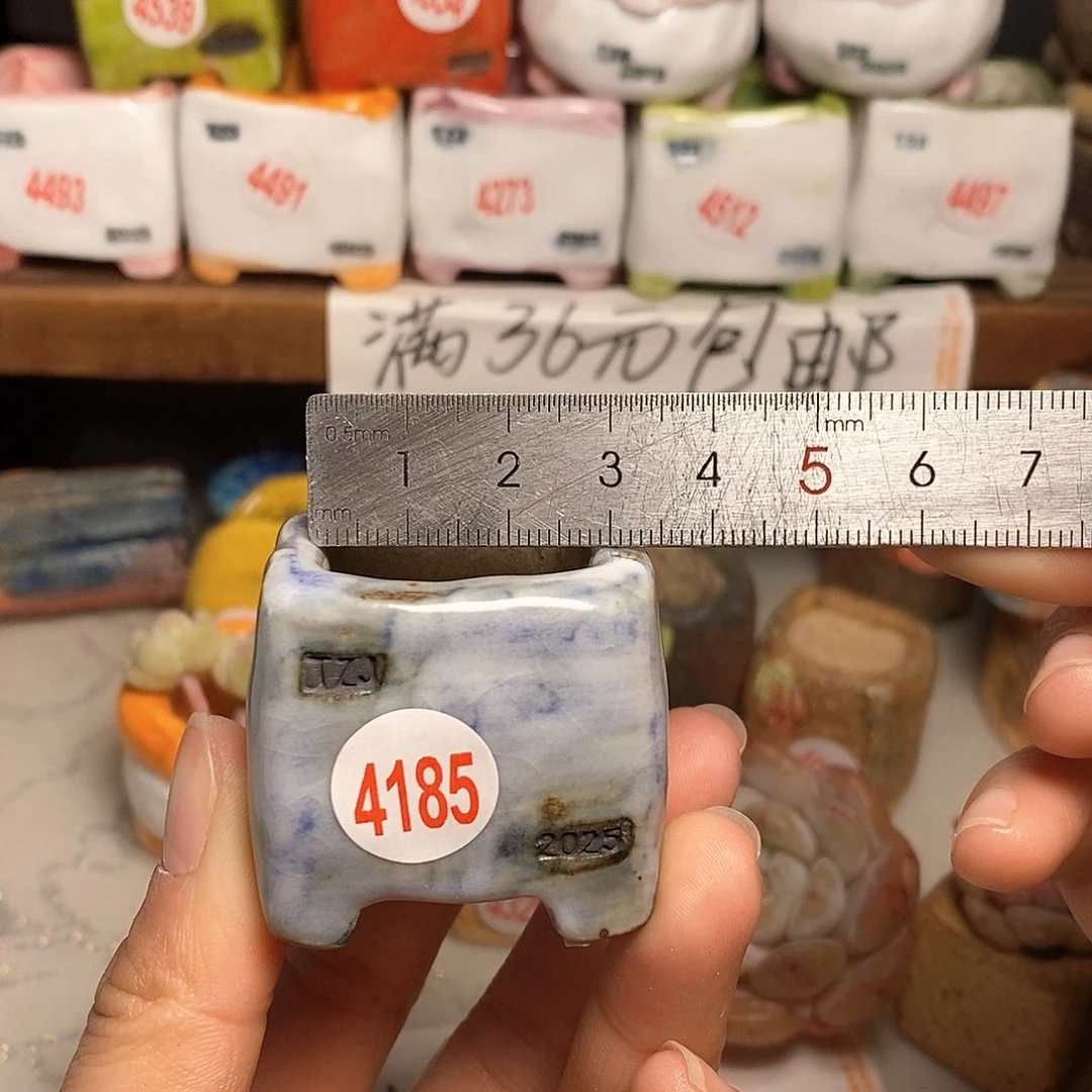红陶拍5送一个小