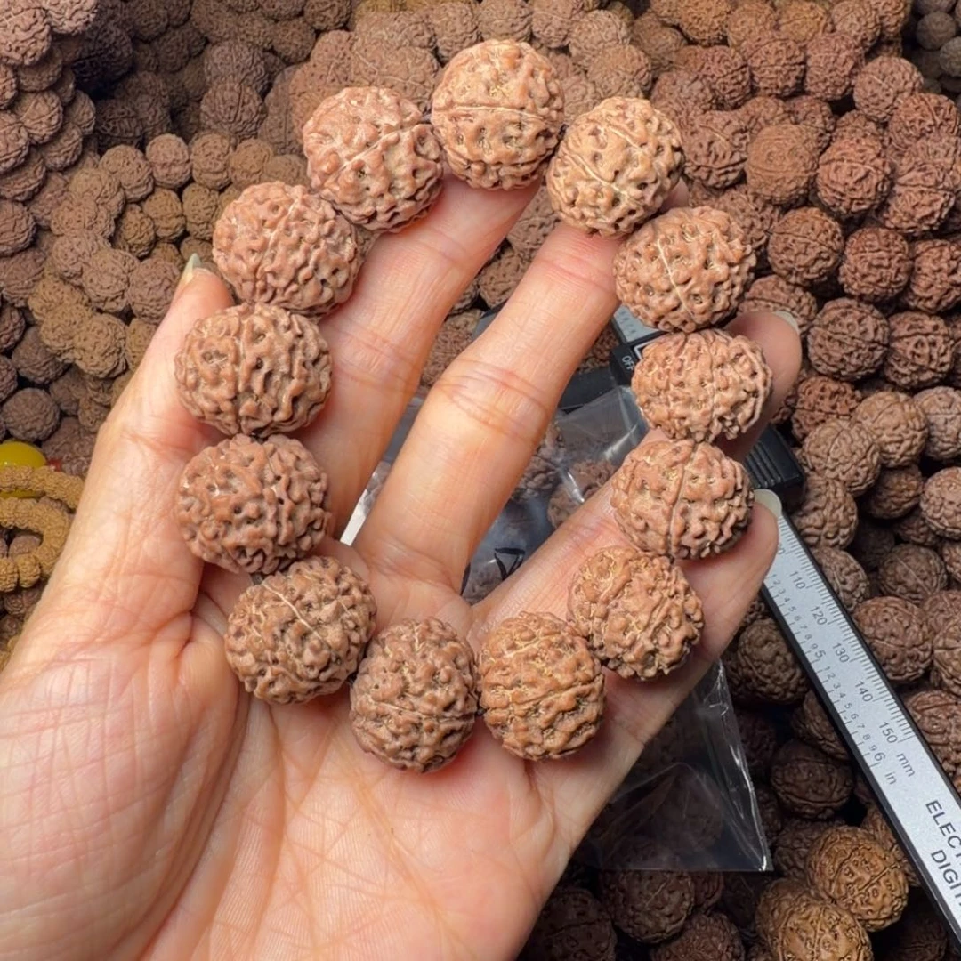 手串金刚菩提8瓣卡20尺，9号