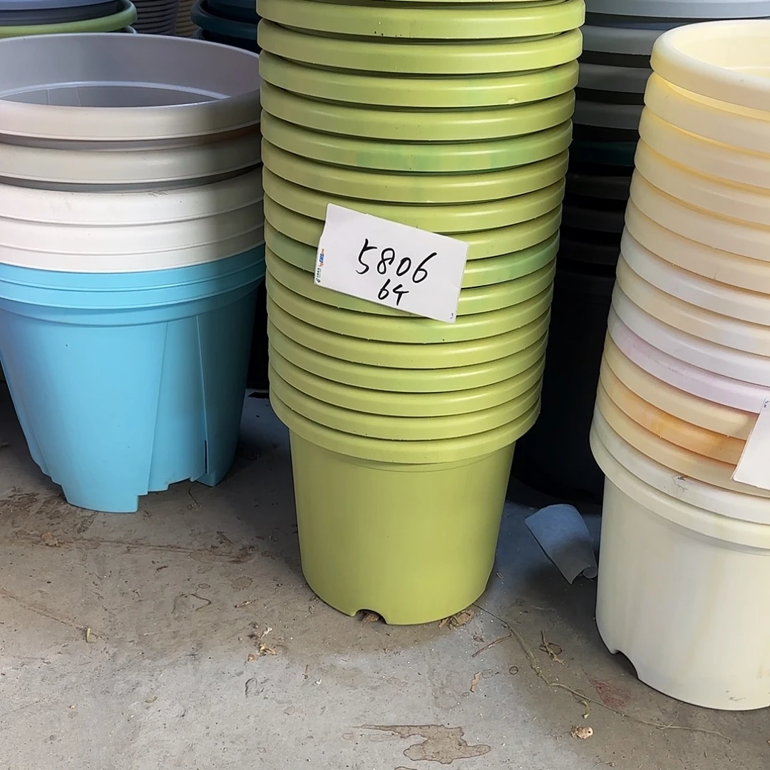 编号5806，5号串色