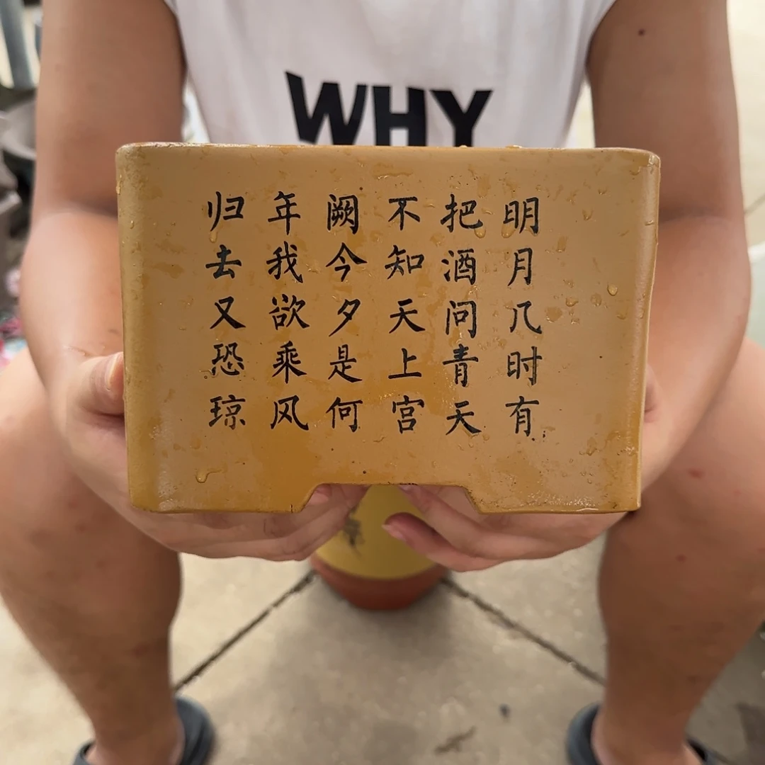花盆紫砂口径20.15口径
