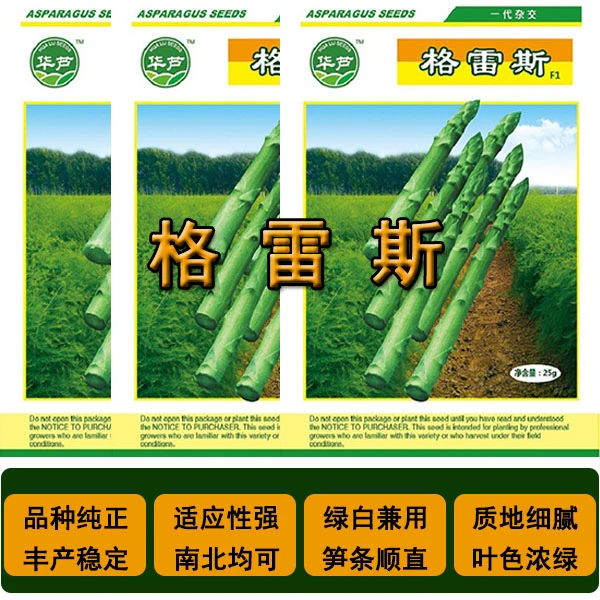 芦笋种子格雷斯 杂交一代品种四季芦笋高产优质大田庭院蔬菜种子