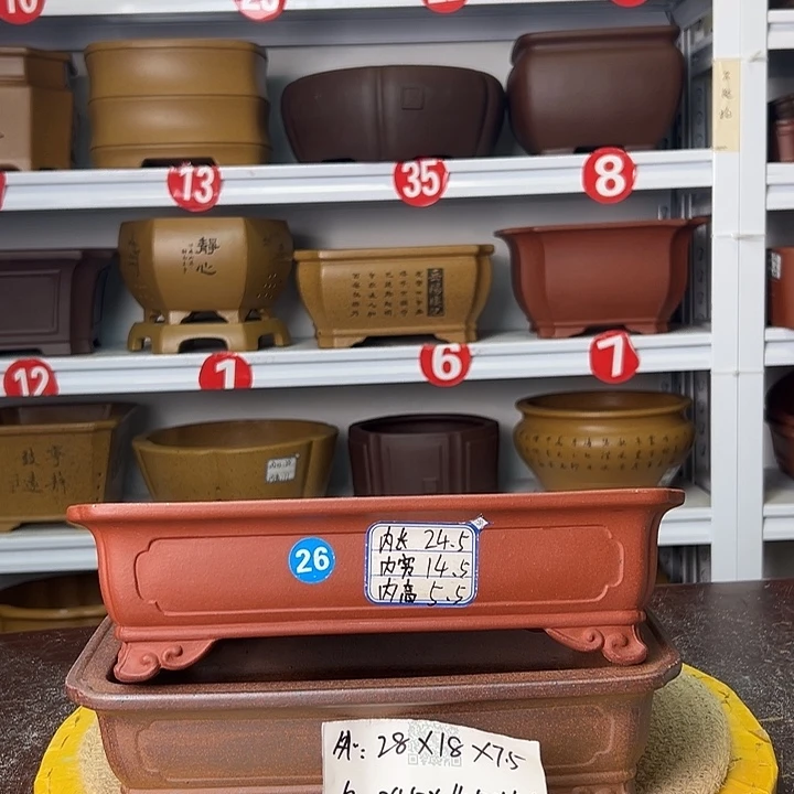 紫砂花盆你在一起