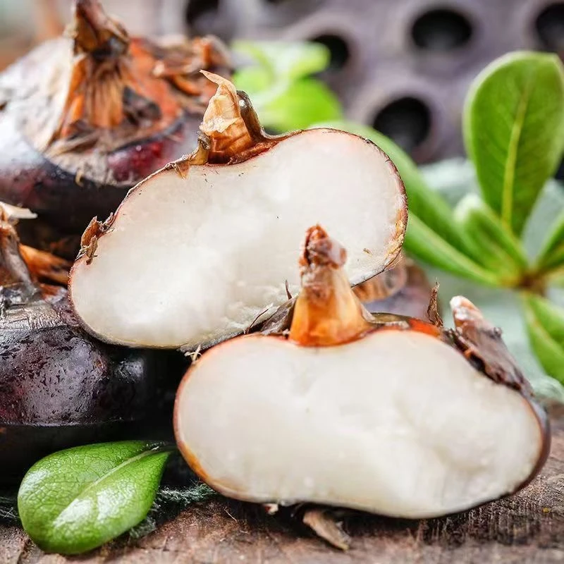 湖北新鲜现挖水果马蹄茨菇清甜脆爽荸荠红皮大果马蹄当季水果蔬菜