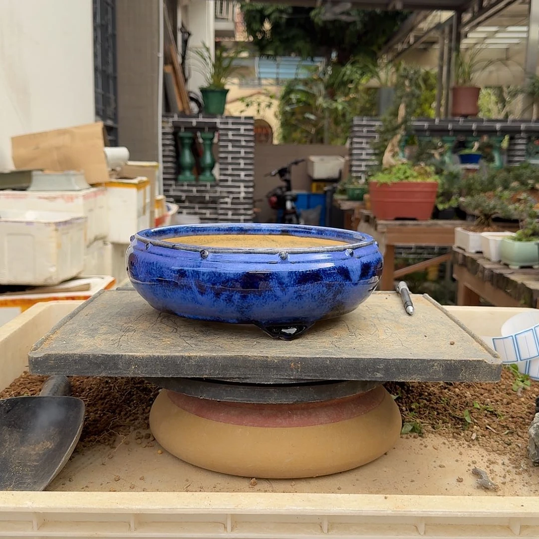 红陶老*鸡f c f f f g g g g v