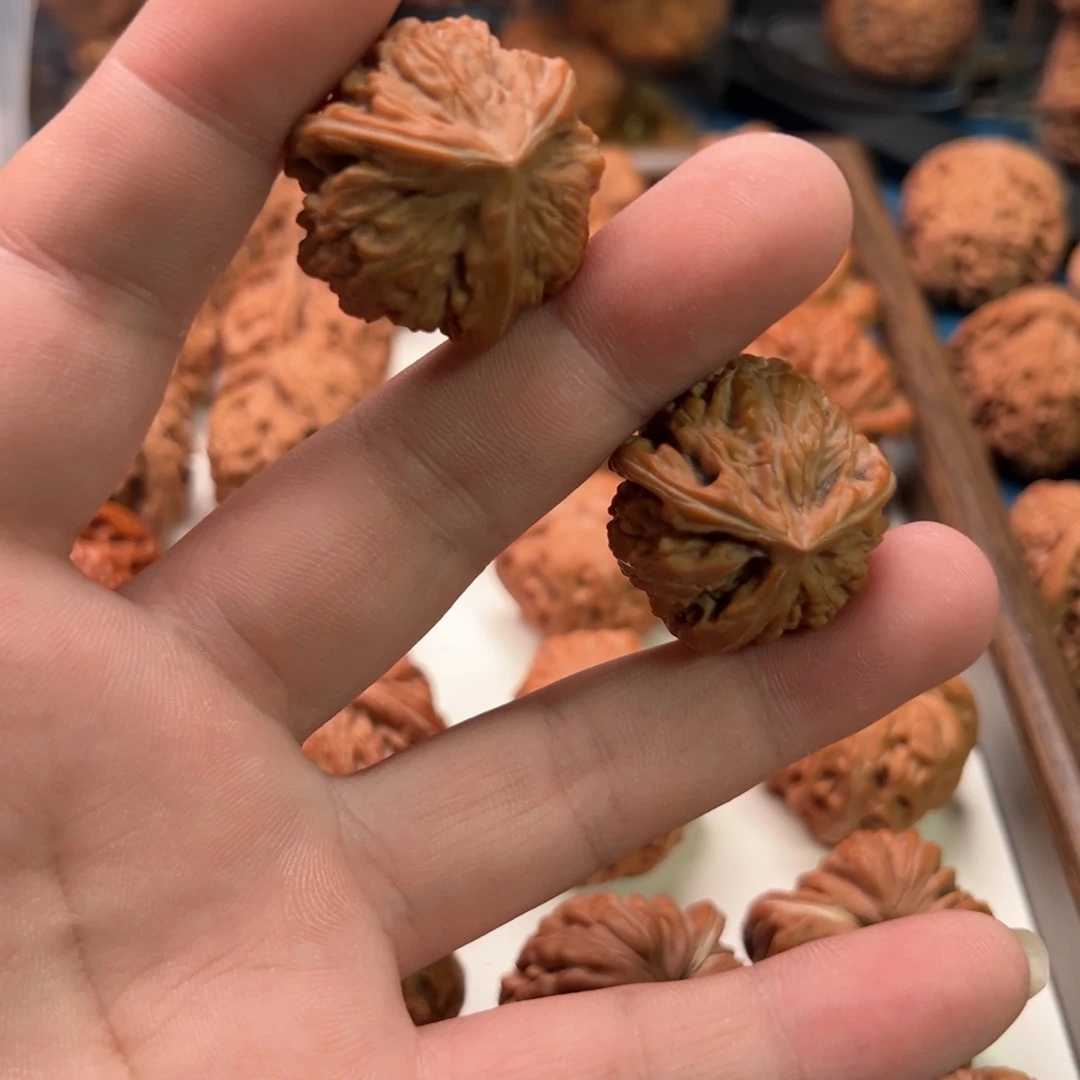 大叶紫檀（黑酸枝木类）