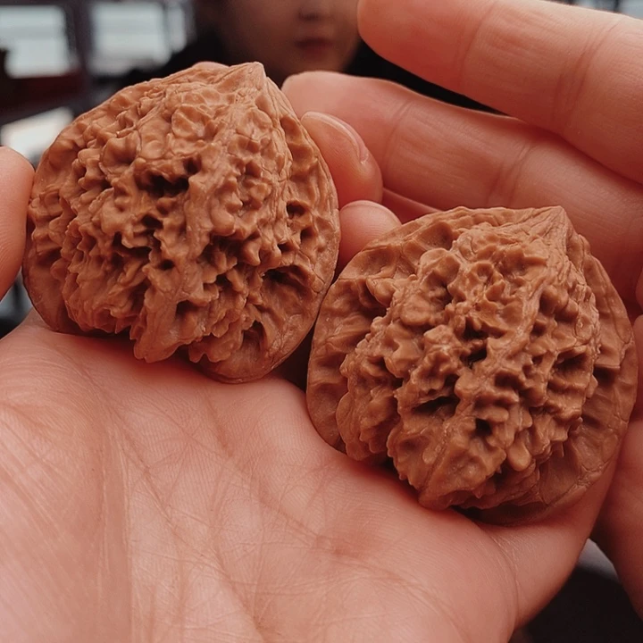 核桃44尺百花山核桃