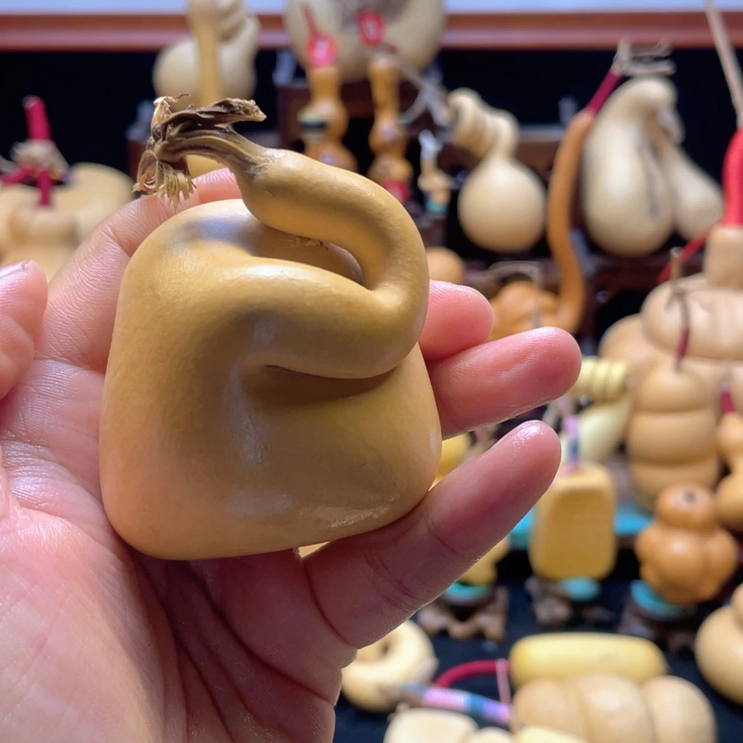 @****?大自然的秘密第十一节的秘密第二