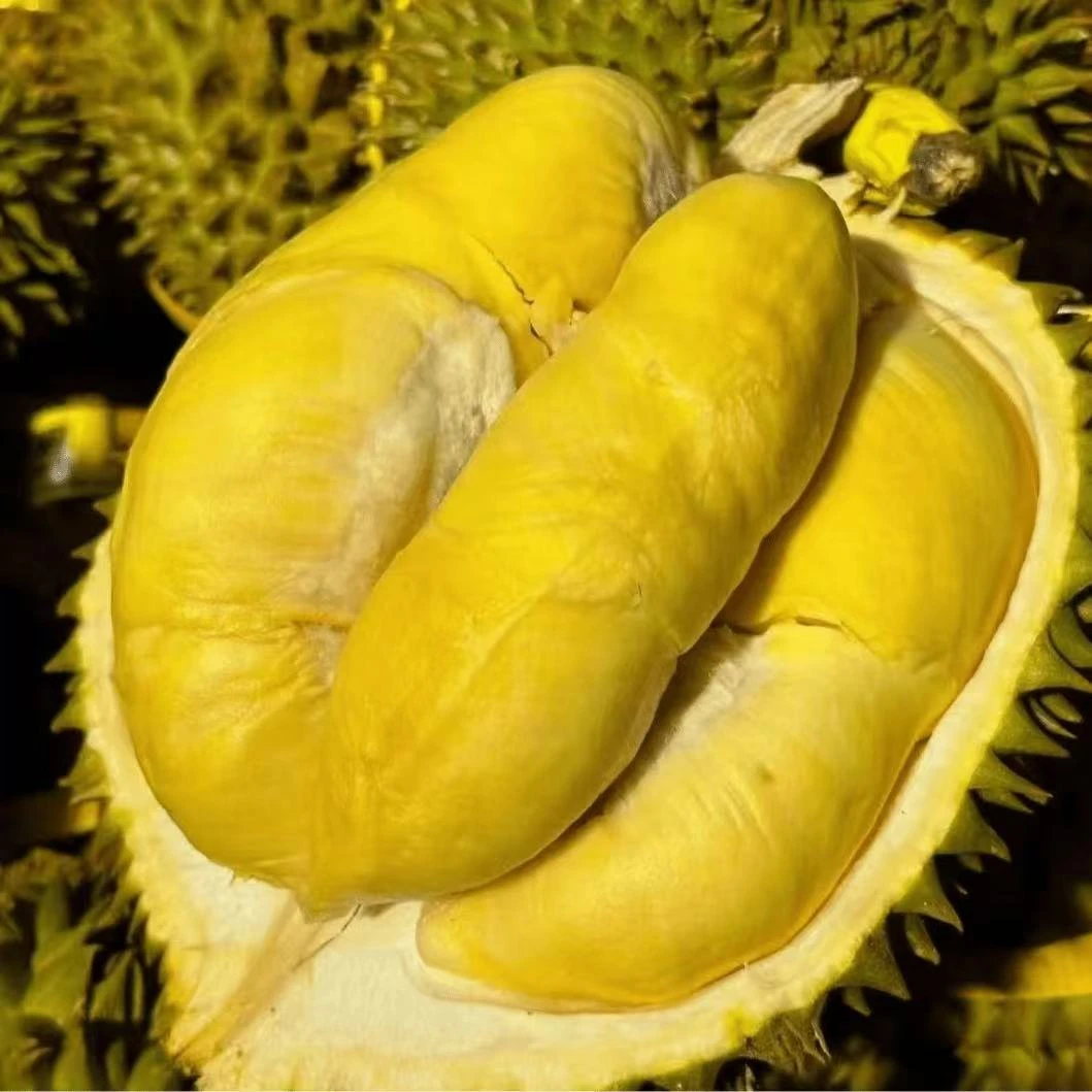 泰国金枕新鲜榴莲整颗A果