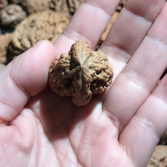 问***林文玩核桃把件核桃单只1颗