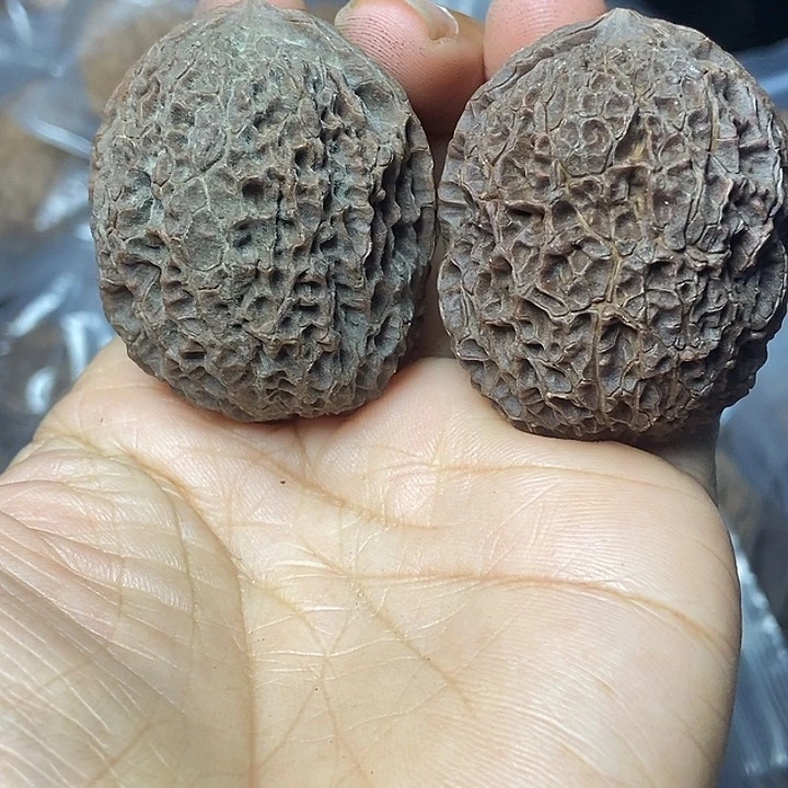 文玩核桃把件云南铁核桃基地79