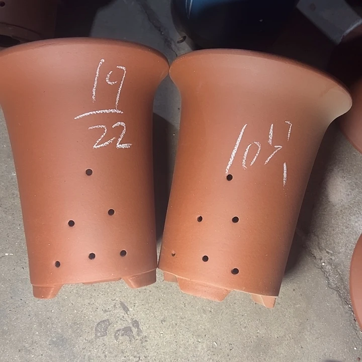 周深周深周深周深周深