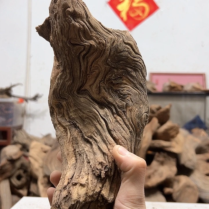 柏木浮*马我们都是好孩子呀我