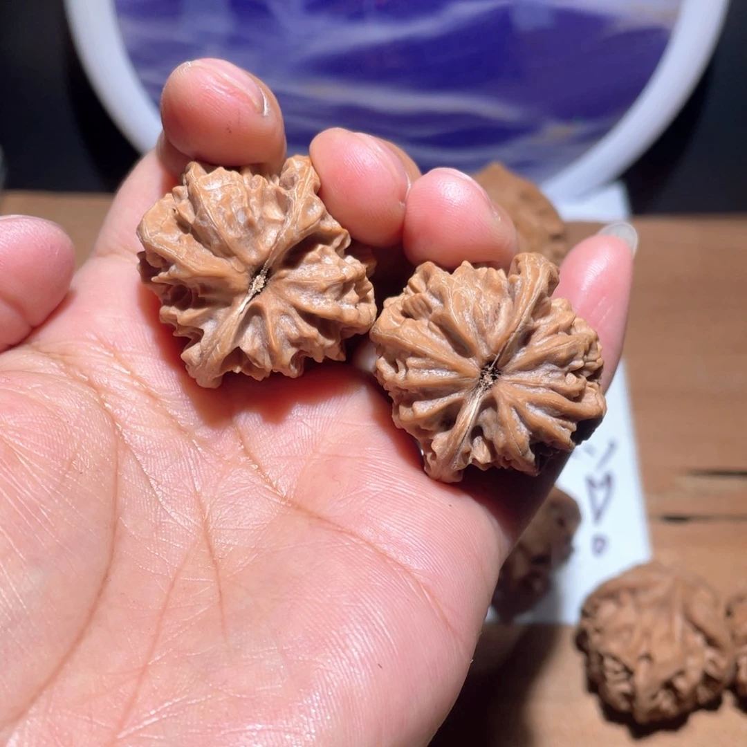 乌*S477 33尺 大龙