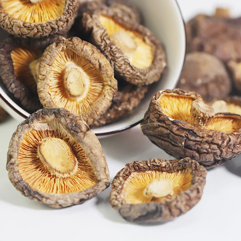 【八戒代选山货】云南边境高黎贡深山小香菇